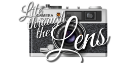 So you want get into photojournalism?